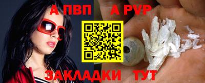 крисы Камышлов